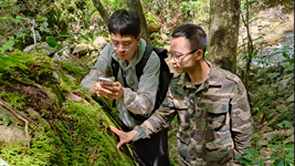 贛閩攜手“逐”綠守護武夷山國家公園