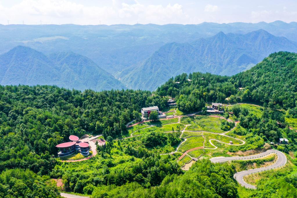 新華全媒+｜重慶萬州：“美麗經濟”助推鄉村振興