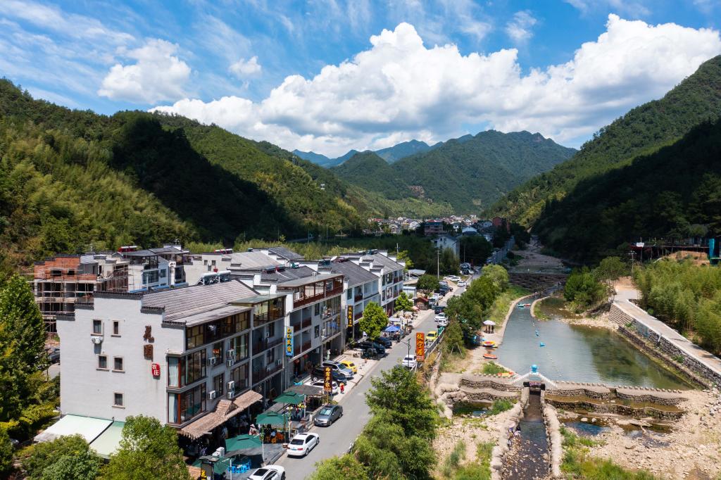 杭州龍井村：特色旅游助力鄉村振興