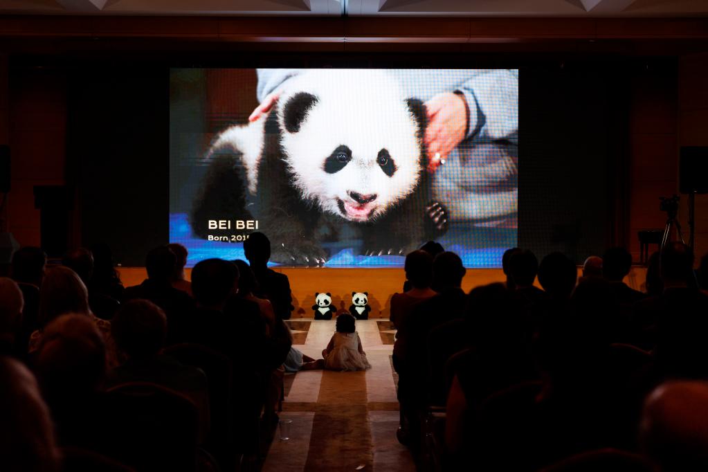 中國駐美使館同美國史密森學會國家動物園聯合舉辦“大熊貓之夜”招待會