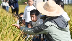 農場里的幼兒自然課