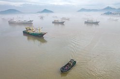 浙江溫嶺：漁船進港避寒潮