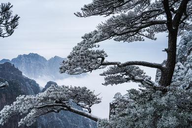 安徽黃山初春現霧凇美景