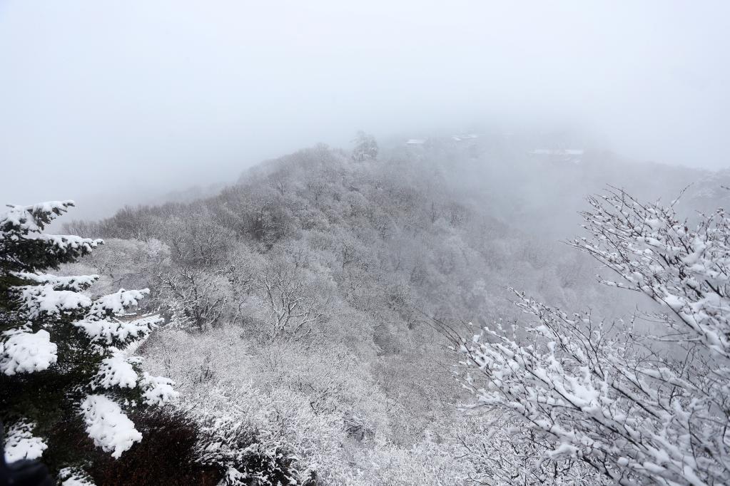 雪落崆峒山