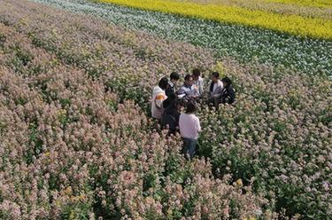 新華全媒+丨春天里的“試驗(yàn)田”：青春伴著泥土芬芳