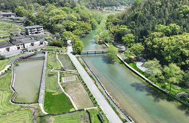 四季中國丨港背村的“新田園夢”