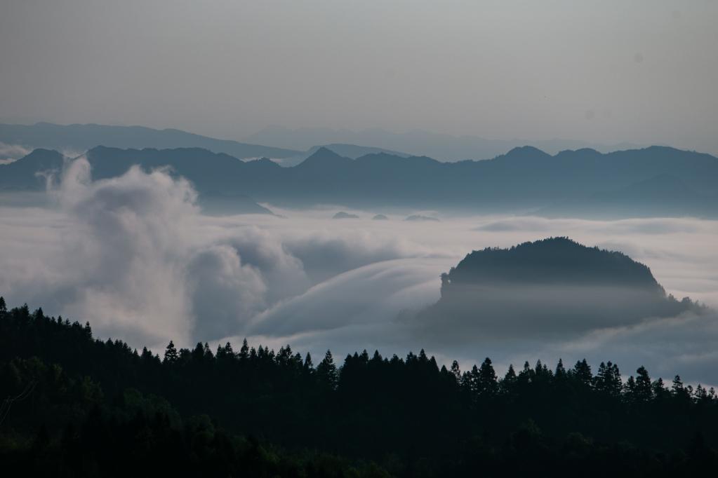 重慶金佛山：云繞山巒春色美