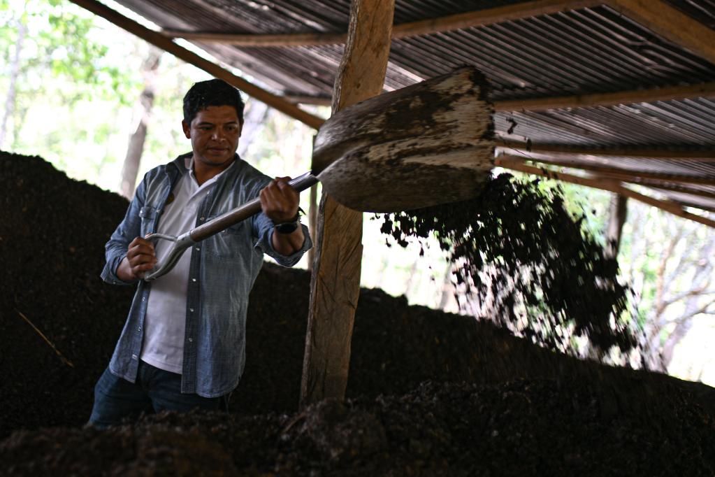 洪都拉斯：探訪咖啡種植園和工廠