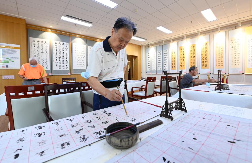 高質量發展調研行丨河北廊坊：布局醫養康養產業 為老人提供優質養老服務