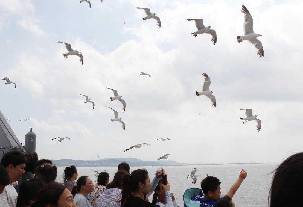 蓬萊海濱旅游熱