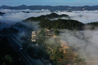 雷公山初冬景色美