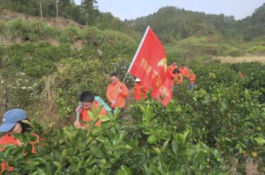 新華全媒+丨福建寧德：在“四下基層”實踐中培養鍛煉年輕干部