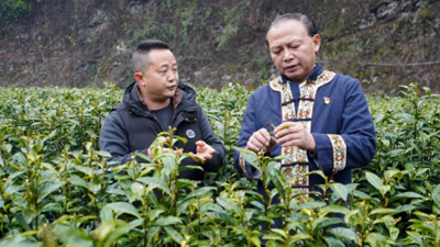 龍獻文：奮戰在鄉村振興一線