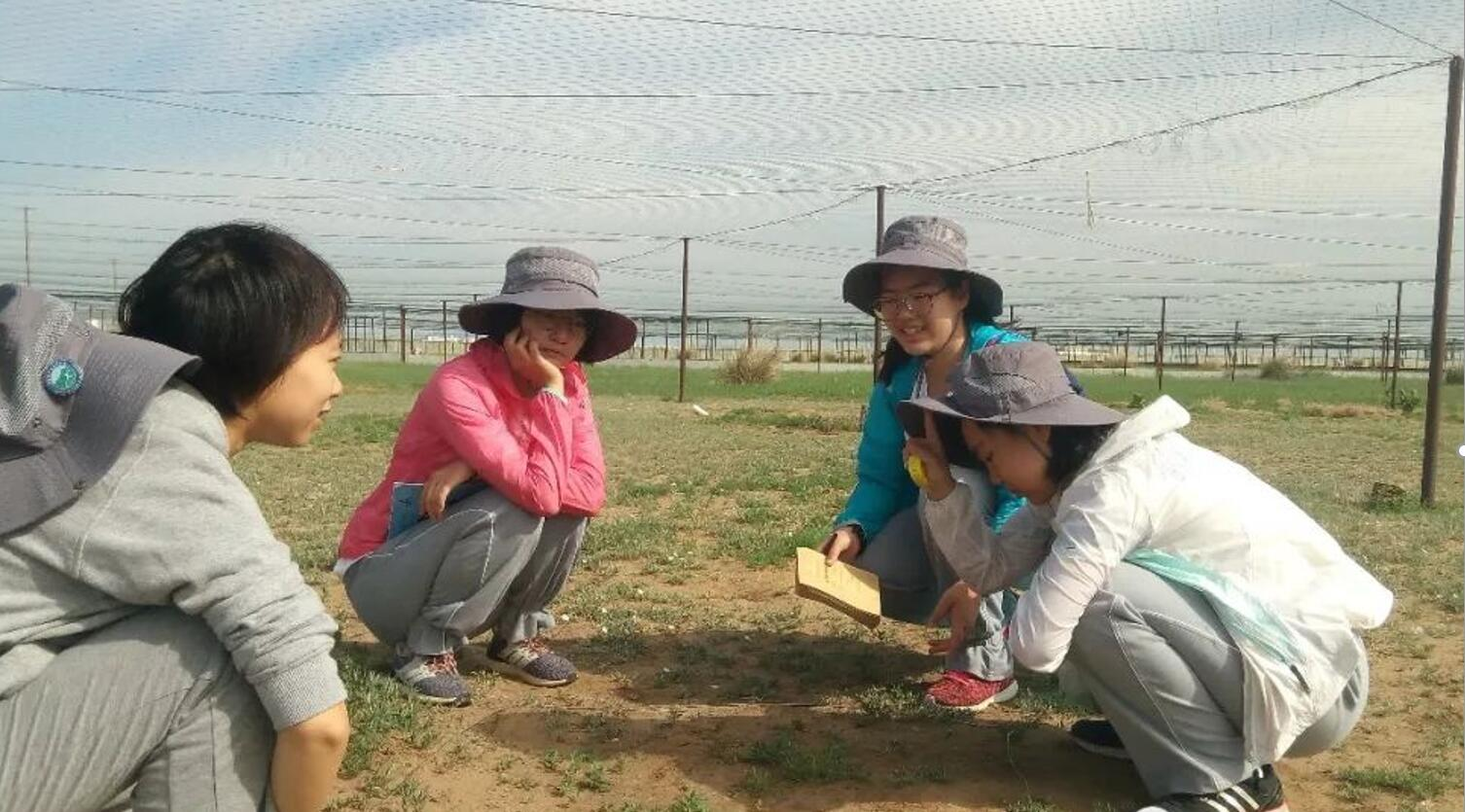 草原動物生態研究活動