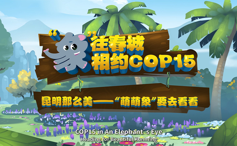 【“象”往春城 相約COP15】昆明那么美 “萌萌象”要去看看