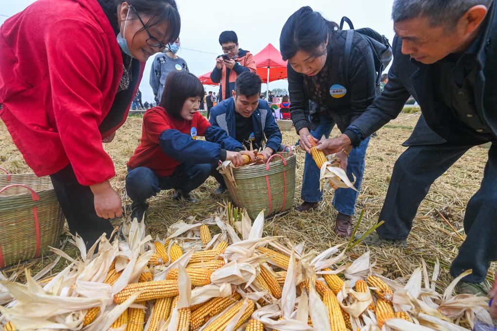 杭州瓶窯舉辦農(nóng)民豐收運(yùn)動(dòng)會(huì)